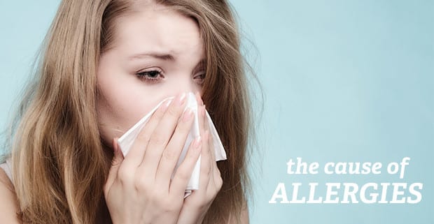 Warner Family Practice in Chandler Arizona, The cause of allergies